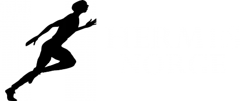 Hermes Norge – Diagnostikk, Renovering, Reparasjon